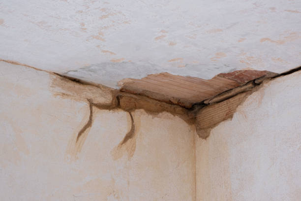 Best Water damage restoration company  in Aberdeen, IN