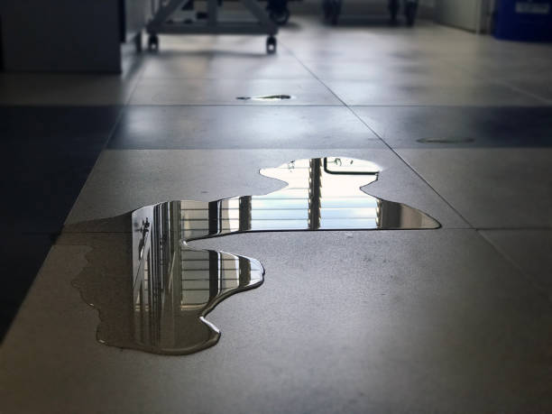 Best Water damage restoration services  in Aberdeen, IN